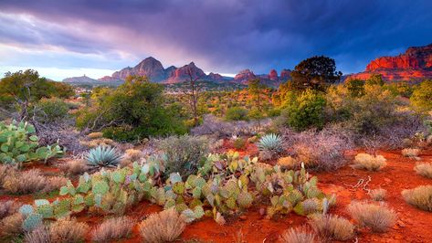 How to Satiate Your Senses in Sedona, Arizona Sedona Arizona Photography, Southwest Photography, Panorama Photography, America Images, Arizona Photography, American Landscape, Travel America, Panoramic Photography, Romantic Honeymoon Destinations