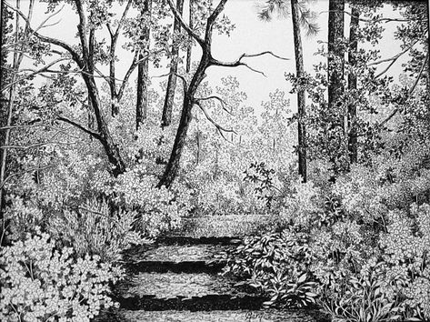 Pathway Drawing, Path Sketch, Ink Drawing Ideas, Drawing Tips And Tricks, Ink Drawing Techniques, Perspective Sketch, Ink Pen Art, Garden Drawing, Colorful Plants