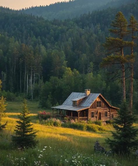 House Astethic, Rustic Wood Cabin, Cabin In Woods, Mountain Farmhouse, Action Board, Nature Living, Old Cabins, Old Cabin, Wooden Cabin