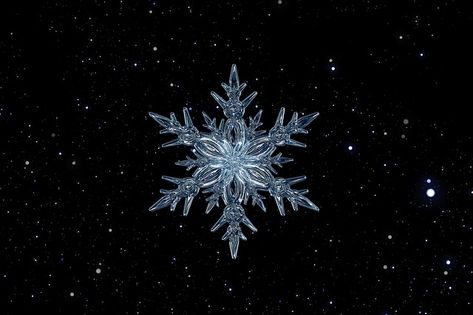 Ice Illustration, Snowflake Photography, Snow Flake Tattoo, Ice Art, Crystal Ice, Under The Microscope, Art Apps, Crystal Formations, Ice Crystals