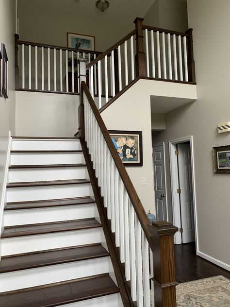 Stair Railing Ideas Dark Floors, Dark Floor Staircase, Dark Wood Stairs With White Risers, Dark Wood Railing, Dark Wood Bannister, Espresso Stained Stairs, Brown And White Stairs, Dark Brown Stair Railing, Cherry Wood Staircase