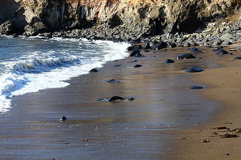 Discovering a Secret Beach on Oregon Coast, near Depoe Bay, at Fogarty Beach - Virtual Tour of Depoe Bay, Gleneden Beach, Otter Rock, Oregon Coast Oregon Camping, Depoe Bay, Rock Beach, Grain Of Sand, Secret Beach, North America Travel, Oregon Coast, Camping And Hiking, Canada Travel