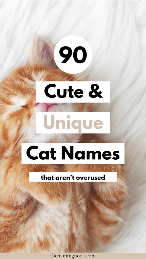 90 Cute & Unique Cat Names That Aren’t Overused. Click through for cool and unusual cat and kitten names. Boy cat names, girl cat names, cat name aesthetic Female Cat Names Unique, Male Cat Names Unique, Kitten Names Boy, Cute Kitten Names, Kitten Names Unique, Names For Male Cats, Kitten Names Girl, Grey Cat Names, Calico Cat Names