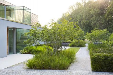 Contemporary Garden Design, Front Garden Landscape, Front Garden Design, Modern Garden Design, Garden Designer, Big Garden, Have Inspiration, Contemporary Garden, Garden Landscape Design