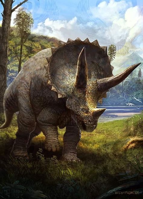 Triceratops Art, Dinosaur Artwork, Dinosaur Triceratops, Dinosaur Era, Dinosaur Photo, Prehistoric Wildlife, All Dinosaurs, Dinosaur Images, Dinosaur Pictures