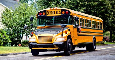 Converted School Bus, Converted Bus, Safe Schools, School Buses, School Field Trip, Medium Duty Trucks, Automobile Companies, Mobile Home Parks, Magic School Bus