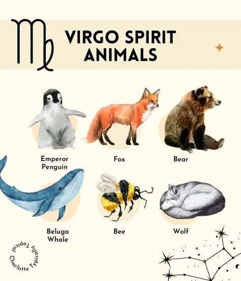 Virgo Spirit Animal, Spirit Animal Tattoo, Virgo Images, Zodiac Signs Animals, Virgo Symbol, Virgo Art, Virgo Girl, Virgo Tattoo, Virgo Traits