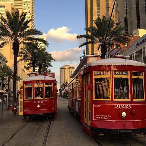 Streetcars on Canal St. in New Orleans New Orleans Transportation, Visit New Orleans, Big Easy, New Orleans Louisiana, Street Cars, City Photography, Ride On, City View, Us Travel