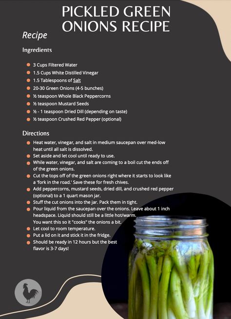 Pickled Green onions Recipe - The Easy Homestead Pickling Vinegar Recipe, Pickled Green Onions Recipe, Pickled White Onions, Fermented Pickles Recipe, Pickled Veggies Recipe, Canned Green Bean Recipes, Pickle Onions Recipe, Green Onions Recipes, Dehydrating Food Storage