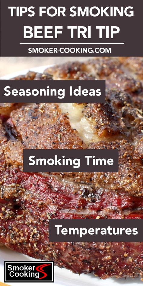 Smoked beef tri tip is delicious! These tips for smoking tri tip roasts will help you create a mouthwatering, tender piece of meat that tastes incredible! #tritip #smokedtritip #beefrecipes #smokerrecipes #smokercooking Tri Tip Steak Recipes, Tritip Recipes, Smoked Tri Tip, Beef Tri Tip, Traeger Grill Recipes, Smoker Cooking, Pellet Grill Recipes, Traeger Recipes, Smoked Meat Recipes