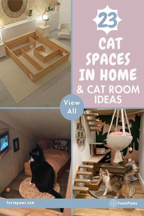 Cat Bathroom Ideas, Pet Bedroom Ideas Cats, Cattery Ideas Cat Room Diy, Cat Food Area Ideas, Cat Friendly Room Ideas, Room For Cats Ideas, Homemade Kitten Toys, Kitty Corner Ideas, Boho Cat Room