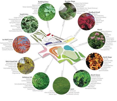 Bubble Diagram Architecture, Landscape Diagram, Bubble Diagram, Urban Design Diagram, Park Landscape, Concept Diagram, Landscape Architecture Design, Diagram Architecture, Parking Design