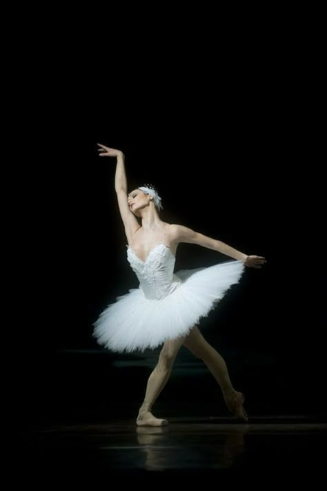 Ballerina Photoshoot, Ballet Stuff, Swan Lake Ballet, Lake Photoshoot, Ballet Beauty, Dance Images, Ballet Poses, Ballet Photos, Pretty Ballerinas