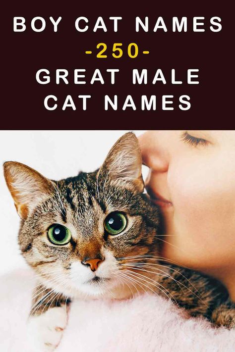 Cat Name Ideas Unique, Make Cat Names, Male Cat Names Unique List, Boy Cat Names Unique, Cat Names For Boys, Male Cat Names Unique, Cat Names Boy, Kitten Names Boy, Cat Names Male