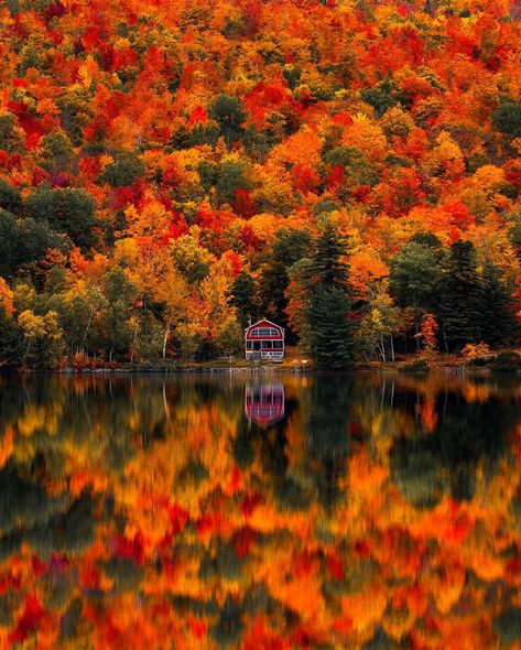 🍁 Here’s your sign to hike the trails in the New England region during the fall. Choose any trail from @alltrails and simply explore.… | Instagram Vermont Foliage, The Ber Months, Travel Manifestation, Travel Wallpapers, Vacation Board, Vermont Fall, Places Photos, Legends Of The Fall, Fall Road Trip