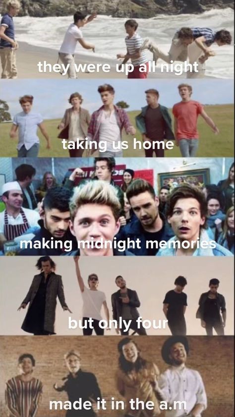 One Direction Memes Funny, One Direction Fan Art, One Direction Collage, 1d Quotes, One Direction Drawings, One Direction Art, One Direction Jokes, One Direction Edits, One Direction Images