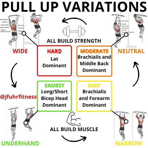 Justin Fuhrman on Instagram: “Basic Pull Up Variations by @jfuhrfitness ⬅️⬅️Swipe left for pull up tips for beginners if your currently struggling with pull ups.  PULL…” Pull Ups Muscles Worked, Pull Up Bar Workout, Pull Up Variations, Pull Up Grips, Pull Up Workout, Free Workout Apps, Bar Door, Gym Workout Chart, Study Break