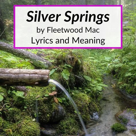 Silver Springs had a rough beginning. It actually lost it's spot on the album it was supposed to be on. The Silver Springs lyrics meaning had something... Silver Springs Tattoo, Silver Springs Lyrics, Lyric Meanings, Famous Song Lyrics, Trumpet Music, Lyrics Meaning, Lyric Tattoos, Silver Springs, Singing Tips