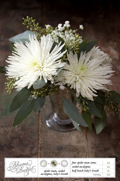 Happy Friday, Budget Savvy Brides! It’s Maddy from Somewhere Splendid and Confetti Pop again, here to bring you this week’s installation of Blooms on a Bud Eucalyptus Wedding Centerpiece, Budget Centerpieces, Budget Flowers, White Mums, Spider Mums, Breath Flowers, Wedding Decorations On A Budget, Wedding Planning On A Budget, Babies Breath