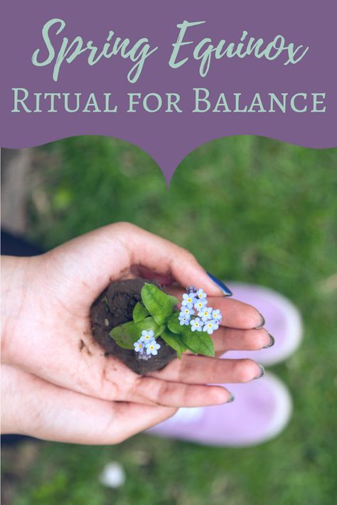 Spring Equinox Ritual for Balance | The Witch of Lupine Hollow Equinox Ritual, Spring Equinox Ritual, Ostara Ritual, Ritual Ideas, Solstice And Equinox, Ceremonial Magick, Traditional Witchcraft, Vernal Equinox, Spring Equinox