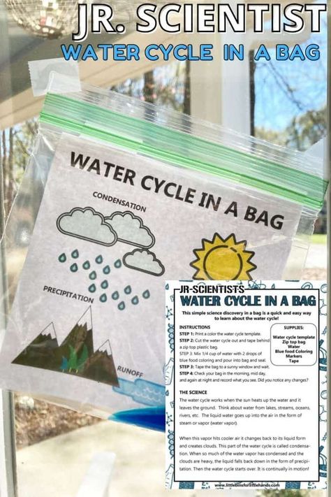 Water Cycle In A Bag, Oshc Activities, Weather Sensory, Water Cycle Craft, Water Cycle Lessons, Spring Stem Activities, Water Cycle Project, Water Cycle Diagram, Tornado In A Bottle