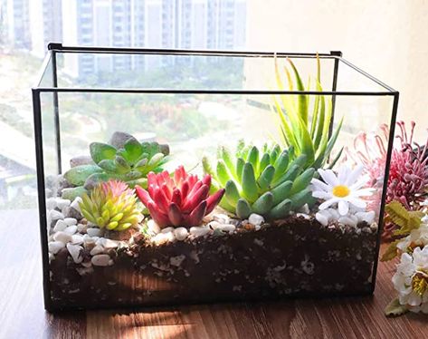 Small Rectangle Balcony Ideas, Rectangle Terrarium, Succulent Table Decor, Succulent Bar, Geometric Succulent, Diy Miniature Garden, Wardian Case, Gardening Design Diy, Open Terrariums