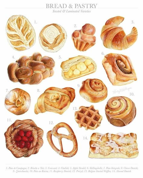 Pastries Illustration, Kendyll Hillegas, Desserts Drawing, Dessert Illustration, Bread And Pastry, Breads And Pastries, Food Sketch, Bread Pastry, Watercolor Food