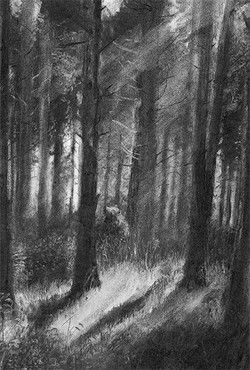 Charcoal Artwork, Forest Drawing, Art Charcoal, Charcoal Sketch, Charcoal Art, Dark Art Drawings, Picture Illustration, Graphite Drawings, Beautiful Dark Art