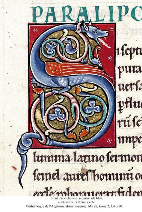 Enluminure lettrines S (modernes et anciennes) - Chez careli Medieval Dragon, Medieval Books, Book Of Kells, Ancient Books, Architecture Tattoo, Book Of Hours, Tangle Patterns, Calligraphy Alphabet, Medieval Manuscript