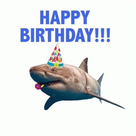 Happy Birthday Shark Gif. There are any references about Happy Birthday Shark Gif in here. you can look below. I hope this article about Happy Birthday Shark Gif can be useful for you. Please remember that this article is for reference purposes only. #happy #birthday #shark #gif Shark Happy Birthday, Shark Meme, Shark Gif, Silly Sharks, Tragic Comedy, Happy Shark, Birthday Party Stickers, Sharks Funny, Cute Shark