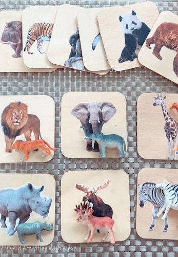 Animal Sounds Activity, Planets Activities, Month Animals, Montessori Trays, Animal Activities For Kids, Cognitive Activities, Diy Montessori, Montessori Diy, Animal Flashcards