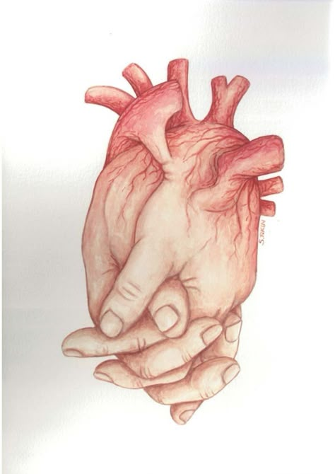 Organ Donation Poster, Blood Donation Posters, Organ Donation, Heart Drawing, Medical Art, Hand Art, Anatomy Art, Heart Art, Istanbul Turkey