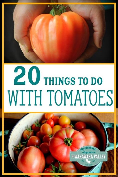 What to do with too many tomatoes? Summer harvest is in full swing, and finding things to do with tomatoes can be hard. Here are 20 recipes that will help you use up your tomatoes and preserve them for later in the year. Canning, dehydrating, fermenting and pickling recipes are all included! #tomatoes #summer #piwakawakavalley #summerbounty #harvest #canning Too Many Tomatoes, Growing Organic Tomatoes, Tomato Farming, Growing Tomatoes In Containers, Canned Meat, Summer Harvest, Canning Tomatoes, Organic Tomatoes, Tomato Garden