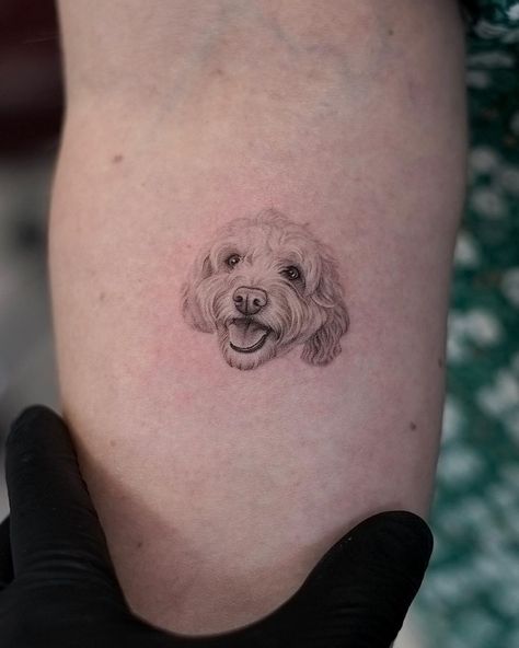 Micro Pet Portrait Tattoos, Fine Line Pet Portrait Tattoo, Realism Dog Tattoo, Fine Line Dog Portrait Tattoo, Dog Tattoo Realism, Pet Portrait Tattoo, Pet Portrait Tattoos, Pet Tattoo Ideas, Tatoo Dog