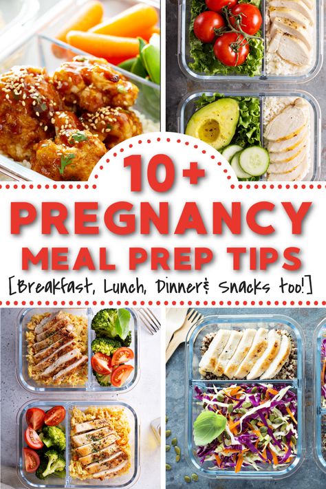 Healthy Prenatal Meals, Ttc Lunch Ideas, Meal Prep For Pregnancy, Lunch Ideas For Pregnancy, Fertility Meal Prep, Meals To Eat While Pregnant, Meals While Pregnant, Good Pregnancy Meals, Pregnant Breakfast Ideas