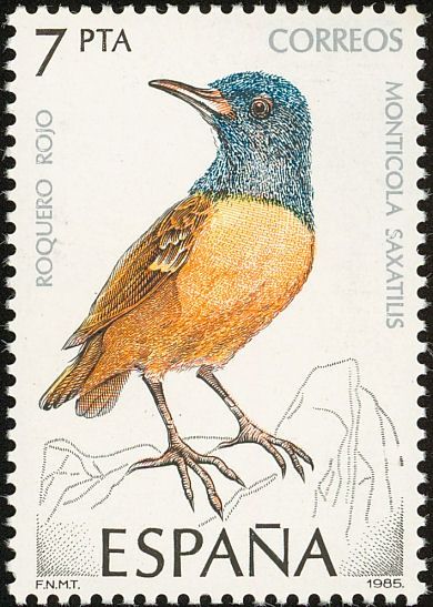 Birds on stamps: Spain Spanje Espagne Espana Common Buzzard, Chinstrap Penguin, Andean Condor, Eurasian Eagle Owl, Common Kingfisher, Flycatchers, Bird Stamp, Postage Stamp Art, West Art