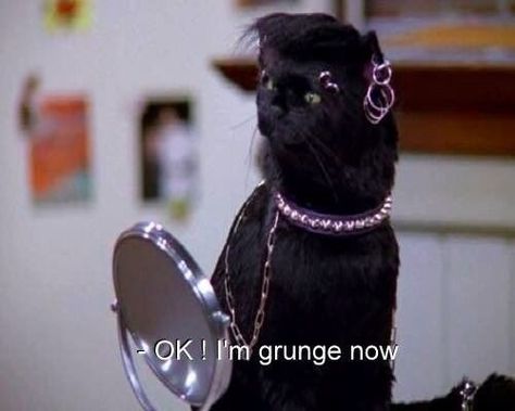 I'M GRUNGE NOW Salem - Sabrina the Teenage Witch Salem Saberhagen, Salem Cat, Your Spirit Animal, A Black Cat, Baby Shower Diy, Spirit Animal, Reaction Pictures, Diy Baby Stuff, Cool Cats