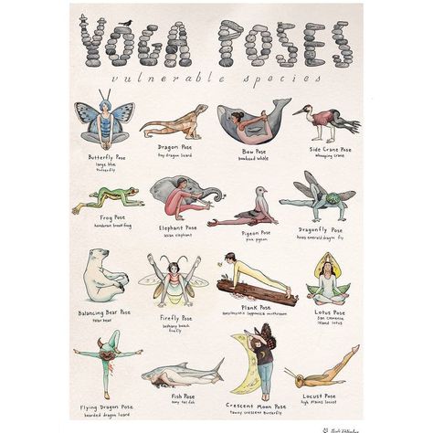 Yoga Daily Improvement on Instagram: “Follow @spir.ituals  Each yoga pose honors a specific vulnerable species.♡🦎♡🐦♡🦋♡🐋♡🐘♡ . . . .  #endangeredspecies #yoga #yogaposes #yogaart…” Heart Openers Yoga, Dragonfly Pose, Firefly Pose, Crane Pose, Yoga Positionen, Dragon Poses, Butterfly Pose, Animal Yoga, Fish Pose