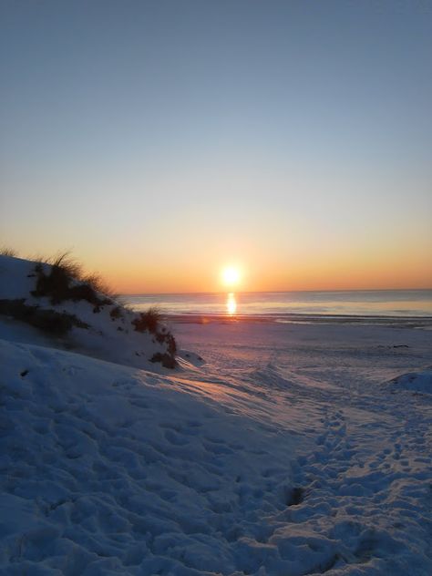 Denmark Denmark Beach, Snowy Beach, Alex A, Winter Beach, Bare Tree, Coastal Life, Dream Holiday, Happy Summer, Beach Aesthetic