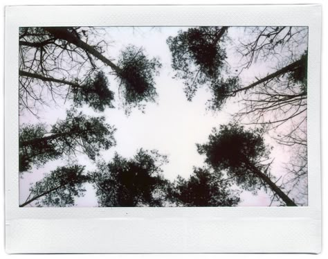 Instax Photography, Polaroid Ideas, Polaroid Instax, Instax Wide, Polaroid Photography, Fuji Instax, Instant Photography, Vintage Polaroid, In The Summertime