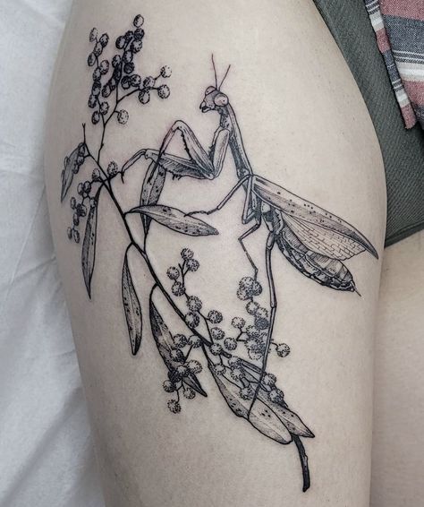 Edgy Nature Tattoos, Dark Nature Tattoo Sleeve, Katydid Tattoo, Insect Tattoo Sleeve, Pray Mantis Tattoo, Botanical Insect Tattoo, Insect Tattoo Design, Praying Mantis Tattoo Color, Flowers And Bugs Tattoo