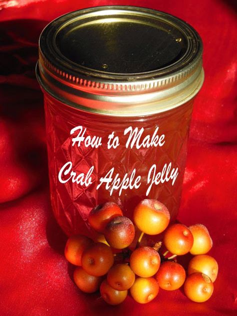 Apple Jelly From Juice, Apple Juice Jelly Recipe, Jelly From Juice, Crabapple Jelly Recipe, Crab Apple Recipes, Homemade Apple Juice, Crab Apple Jelly, Apple Jelly, Jam And Jelly