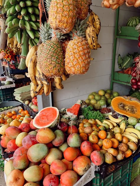 Costa Rica Pictures, Cost Rica, Life Manifestation, Tamarindo Costa Rica, Fruit Stand, Hit Different, Costa Rica Vacation, Vacation Mood, Fruit Stands