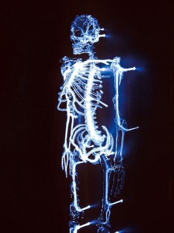 Embodiment, by Eric Franklin.  An anatomical study of the human body considering the mind and body as one entity. Flameworked borosilicate glass, krypton, wood. Anatomical Artwork, Skeleton Sculpture, Sculpture Portfolio, Neon Skeleton, Glass Skeleton, Anatomical Study, Body Skeleton, Blue Neon Lights, The Lovely Bones