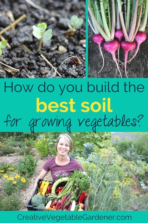 Soil health is one of the most important factors in the success of your garden. But, what is the best soil for a vegetable garden? Best Soil For Vegetable Garden, Soil For Vegetable Garden, Garden Soil Mix, Vegetable Garden Soil, Vegetable Planters, Vegetable Garden Tips, Vegetable Garden Raised Beds, Small Vegetable Gardens, Backyard Vegetable Gardens