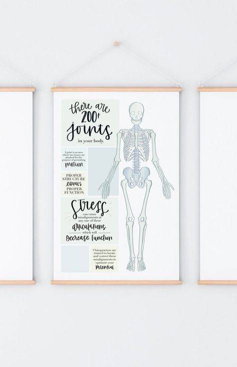 Letter Anatomy, Joints In The Body, Informational Poster, Chiropractic Art, Chiropractic Quotes, Nutrition Poster, Text Neck, Spinal Column, Information Poster