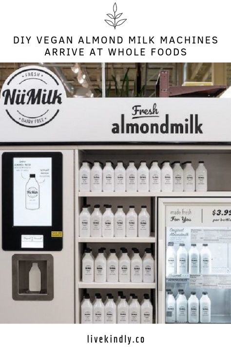 DIY Vegan Almond Milk Machines Arrive at Whole Foods... #vegan #vegannews #plantbased #livekindly #almondmilk #zerowaste Milk Factory, Organic Almond Milk, Homemade Nut Milk, Dairy Farming, Whole Foods Vegan, Milk Brands, Almond Breeze, Vegan Milk, Plant Based Milk