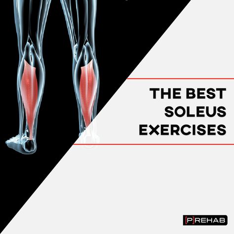 Soleus Exercises, Soleus Muscle, Ankle Fracture, Lower Leg Muscles, Ankle Exercises, Sports Physical Therapy, Run Forrest Run, Ankle Mobility, Achilles Tendon