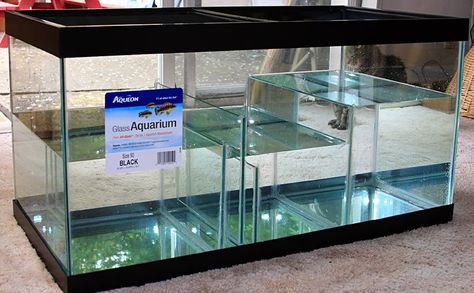 Saltwater Aquarium Beginner, Saltwater Aquarium Setup, Aquarium Sump, Aquarium Chiller, Biotope Aquarium, Marine Fish Tanks, Custom Aquarium, Kolam Koi, Amazing Aquariums