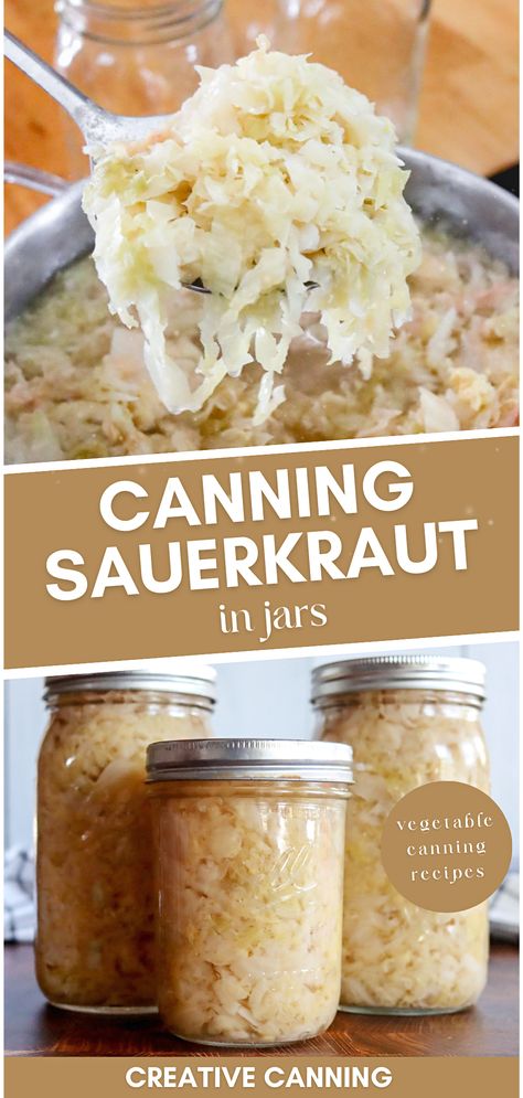 Start canning sauerkraut in jars, and preserve the authentic flavors of fermented foods. This vegetable canning recipe for canning sauerkraut walks you through every step of canning homemade sauerkraut, from fermentation to water bath canning, ensuring a tangy treat all year round. Canning Sauerkraut Without Fermentation, Canning Sauerkraut Recipes Mason Jars, Saurkraut Recipes Canning, Refrigerator Sauerkraut, Canning Kraut In Jars, Sourkrout Recipes Canning, Canning Sauerkraut Recipes, How To Can Sauerkraut, Homemade Sauerkraut In A Crock